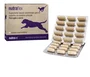 Swedencare Nutraflex 60 Comprimidos