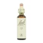 Bach Oak (Roble) Nº 22, 20 ml