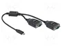 DeLOCK Adaptador USB Type-C a 2 x Serial RS-232 DB9 con protección ESD de 15 kV