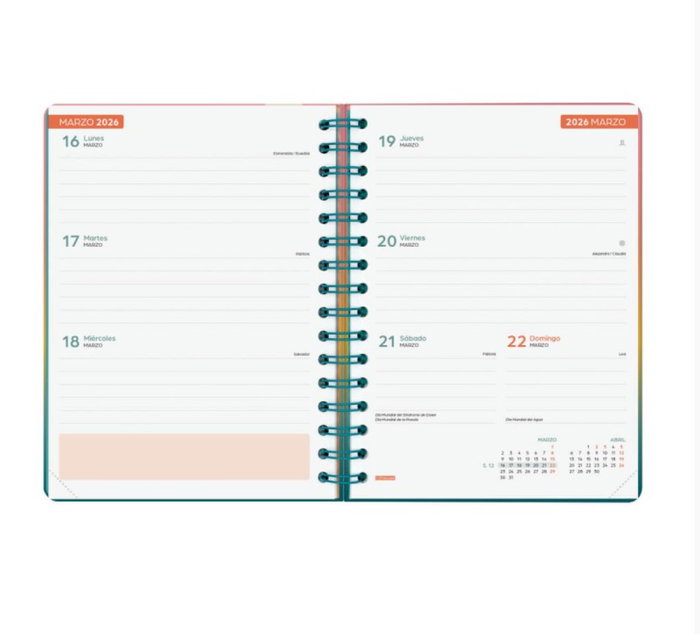 Finocam Agenda Escolar 2025-2026 Curso Cosmo 4º Semana Vista Horizontal Iris+ 155x212 537050326