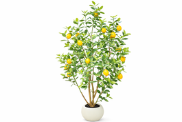 DKD Home Decor Árbol de Limonero Verde 80x80x180 cm