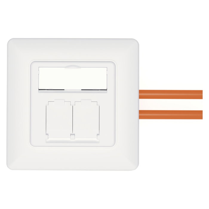 Digitus DN-9010/8-2 Toma de red CAT 6A EA apantallada 2xRJ-45 blanco Digitus DN-9010/8-2 Toma de red CAT 6A EA apantallada 2xRJ-45 blanco
