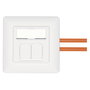 Digitus DN-9010/8-2 Toma de red CAT 6A EA apantallada 2xRJ-45 blanco