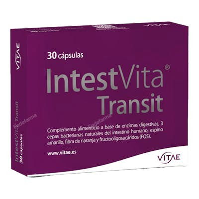 VITAE Intestvita Transit 30 Cápsulas - Probióticos y Enzimas Digestivas para el Funcionamiento Intestinal Normal y Regeneración de Flora