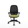 PIQUERAS Y CRESPO Silla de oficina Cilanco Verde oliva y Negro