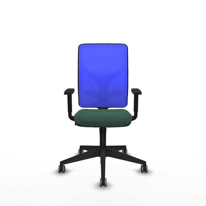 PIQUERAS Y CRESPO Silla de oficina Motilla con mecanismo Sincro, Verde botella y Azul PIQUERAS Y CRESPO Silla de oficina Motilla con mecanismo Sincro, Verde botella y Azul