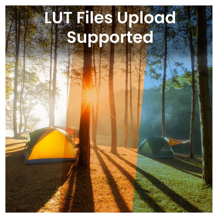 BenQ PVS7 Monitor de cámara de 7 pulgadas WUXGA IPS, 1920 x 1200, 2000 nits, HDMI/SDI, 16:10, Negro