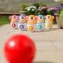 Chicco Juego de Bolos Animales con Pelota 11x15x9 cm Juguete Infantil