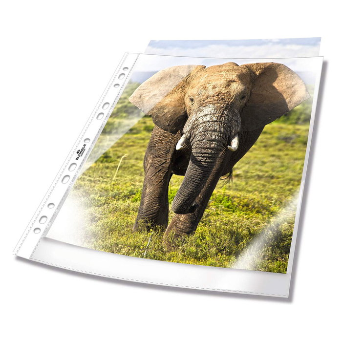 Durable 265819 Fundas perforadas A4 Transparentes Durable 265819 Fundas perforadas A4 Transparentes