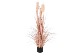 DKD Home Decor Planta Decorativa Plumero Coral y Negro 35x35x120 cm