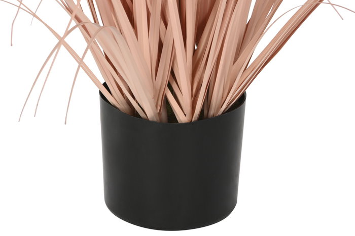 DKD Home Decor Planta Decorativa Plumero Coral y Negro 35x35x120 cm