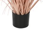 DKD Home Decor Planta Decorativa Plumero Coral y Negro 35x35x120 cm