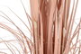 DKD Home Decor Planta Decorativa Plumero Coral y Negro 35x35x120 cm