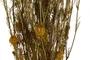 DKD Home Decor Ramo de Flores Secas Surtido 20x20x70 cm, Naranja y Amarillo