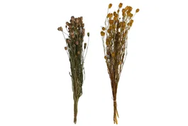 DKD Home Decor Ramo de Flores Secas Surtido 20x20x70 cm, Naranja y Amarillo