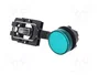 Schneider XB5AVB3 Indicador Luminoso Verde 24V AC/DC IP66