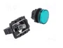 Schneider XB5AVB3 Indicador Luminoso Verde 24V AC/DC IP66