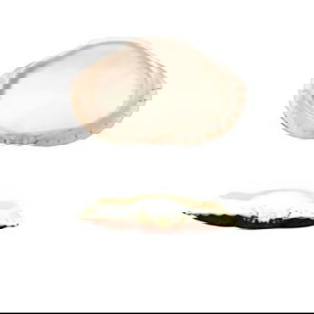 Summa Premium Miscelánea Bol Buey de Mar, Porcelana - 19x11x3.5 cm (Set de 3)