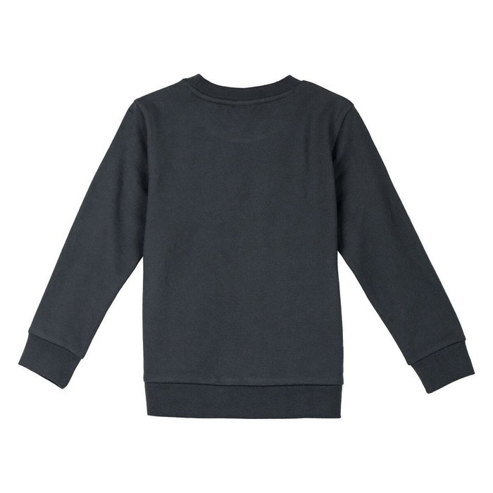 Sudadera sin Capucha Niño The Lion King Gris oscuro 3 Años