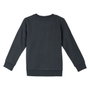 Sudadera sin Capucha Niño The Lion King Gris oscuro 3 Años