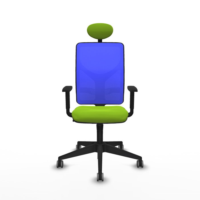 PIQUERAS Y CRESPO Silla de oficina Motilla con mecanismo Sincro, Pistacho y Azul PIQUERAS Y CRESPO Silla de oficina Motilla con mecanismo Sincro, Pistacho y Azul