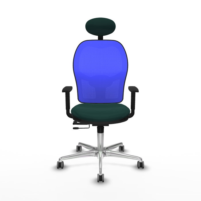 PIQUERAS Y CRESPO Silla de oficina Jorquera Verde botella y Azul