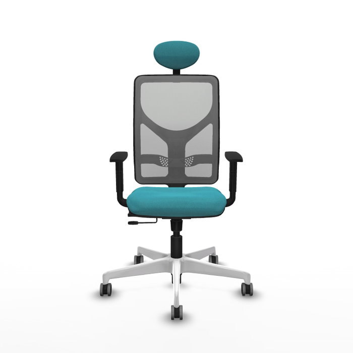 PIQUERAS Y CRESPO Silla de oficina Motilla con mecanismo Sincro/Traslack Turquesa y Gris PIQUERAS Y CRESPO Silla de oficina Motilla con mecanismo Sincro/Traslack Turquesa y Gris
