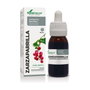 Soria Natural Extracto de Zarzaparrilla Fórmula XXI 50 ml