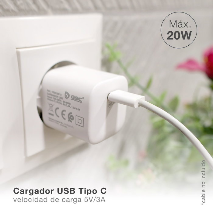 GSC Evolution Cargador USB C