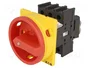 EATON ELECTRIC Interruptor de levas principal P1-25/EA/SVB 25A OFF-ON