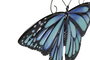 DKD Home Decor Decoración de Pared Metal Mariposa Surtido de 2 Colores
