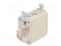 DF ELECTRIC Fusible NH00 de Cartucho Cerámico 50A 690VAC