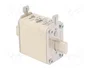 DF ELECTRIC Fusible NH00 de Cartucho Cerámico 50A 690VAC