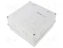 ELEKTRO-PLAST NASIELSK EP-LUX PLUS Carcasa para 9 módulos IP55