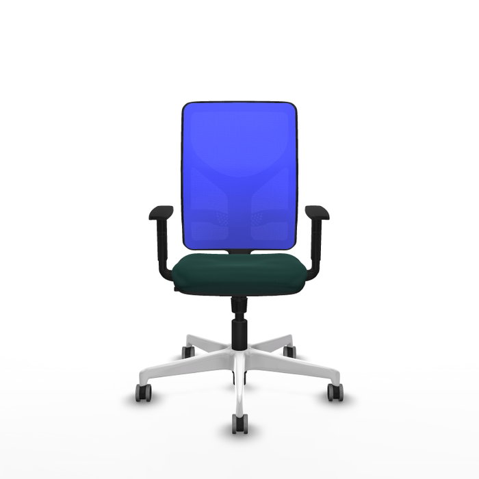 PIQUERAS Y CRESPO Silla de oficina Motilla con mecanismo Sincro Verde botella y Azul PIQUERAS Y CRESPO Silla de oficina Motilla con mecanismo Sincro Verde botella y Azul