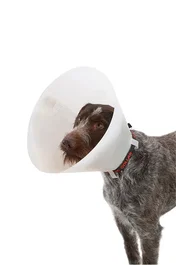 KRUUSE Collar Isabelino Opaco 25 cm (10 unidades)