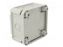 OBO BETTERMANN Caja de conexiones T 60 gris claro