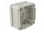 OBO BETTERMANN Caja de conexiones T 60 gris claro
