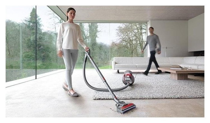 Dyson Big ball Parquet 2