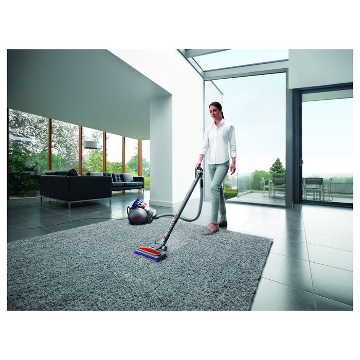 Dyson Big Ball Parquet 2, Plata y Violeta Dyson Big Ball Parquet 2, Plata y Violeta