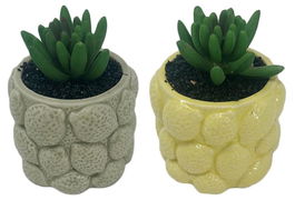 DKD Home Decor Planta Verde Amarillo 8.5 x 10.5 x 8.5 cm (12 Unidades)