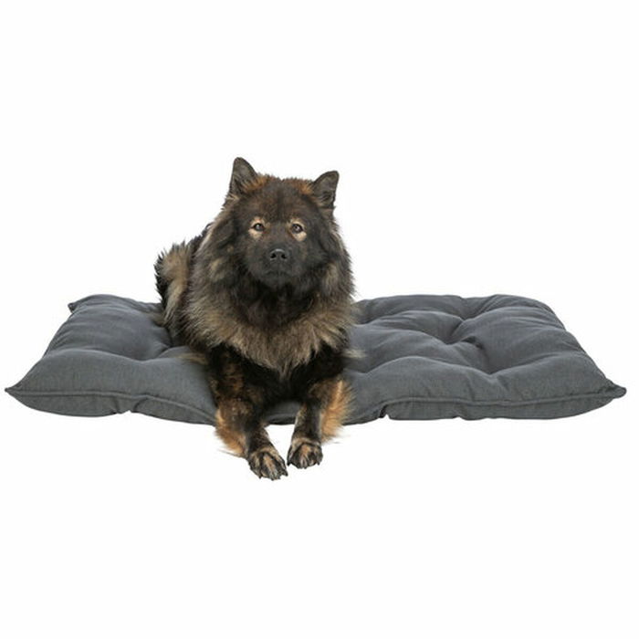 Cama para Perro Trixie Gris oscuro 59 x 50 cm