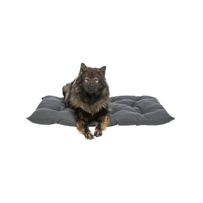 Cama para Perro Trixie Gris oscuro 59 x 50 cm