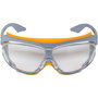 uvex skyguard NT Gafas de protección Gris/Naranja