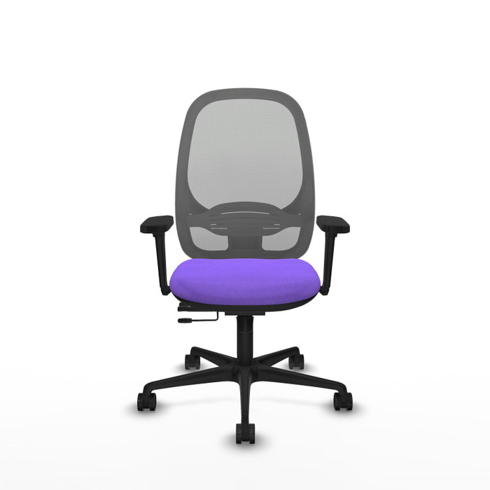 PIQUERAS Y CRESPO Silla de oficina Cilanco con mecanismo Sincro/Traslack, Lila y Gris PIQUERAS Y CRESPO Silla de oficina Cilanco con mecanismo Sincro/Traslack, Lila y Gris