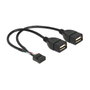 DeLOCK 83292 Cable USB interno Pin Header hembra a 2 x USB 2.0 Tipo-A hembra de 20 cm