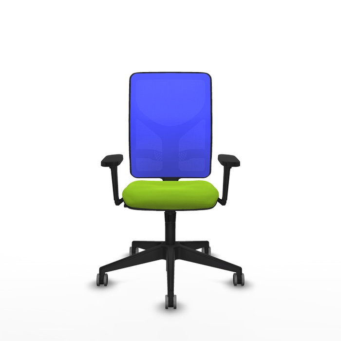 PIQUERAS Y CRESPO Silla de oficina Motilla con Mecanismo Sincro, Pistacho y Azul PIQUERAS Y CRESPO Silla de oficina Motilla con Mecanismo Sincro, Pistacho y Azul