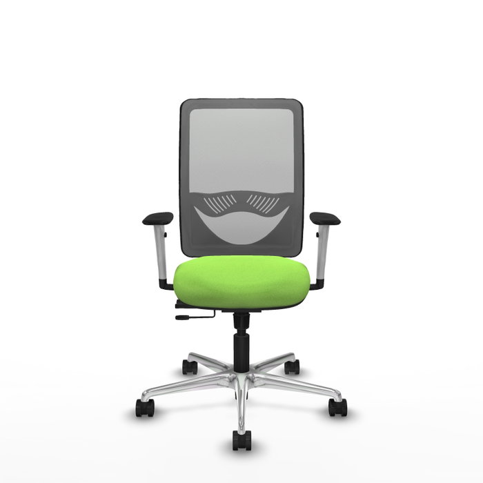 PIQUERAS Y CRESPO Silla de oficina Zulema Pistacho/Gris con mecanismo Sincro/Traslack PIQUERAS Y CRESPO Silla de oficina Zulema Pistacho/Gris con mecanismo Sincro/Traslack