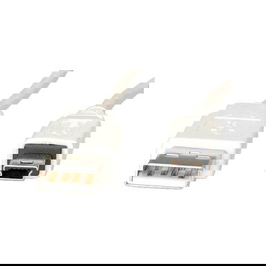 VALUE Cable USB 2.0 A a Mini USB de 5 Pines, 3 Metros, Blanco VALUE Cable USB 2.0 A a Mini USB de 5 Pines, 3 Metros, Blanco