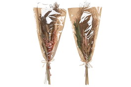 DKD Home Decor Ramo de Flores Secas Surtido 24x10x60 cm
